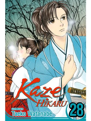 cover image of Kaze Hikaru, Volume 28